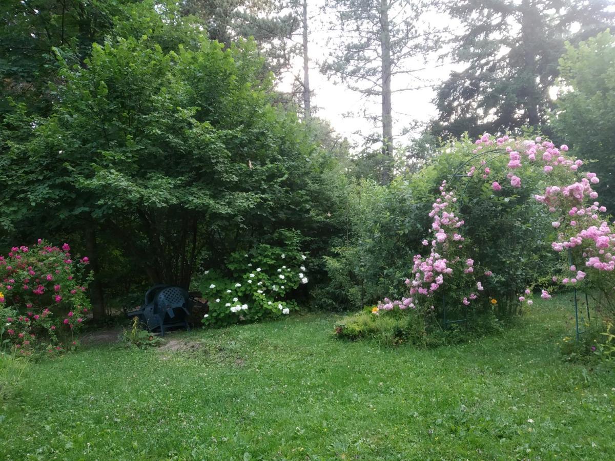 Apartmani Eho Zlatibor Kültér fotó