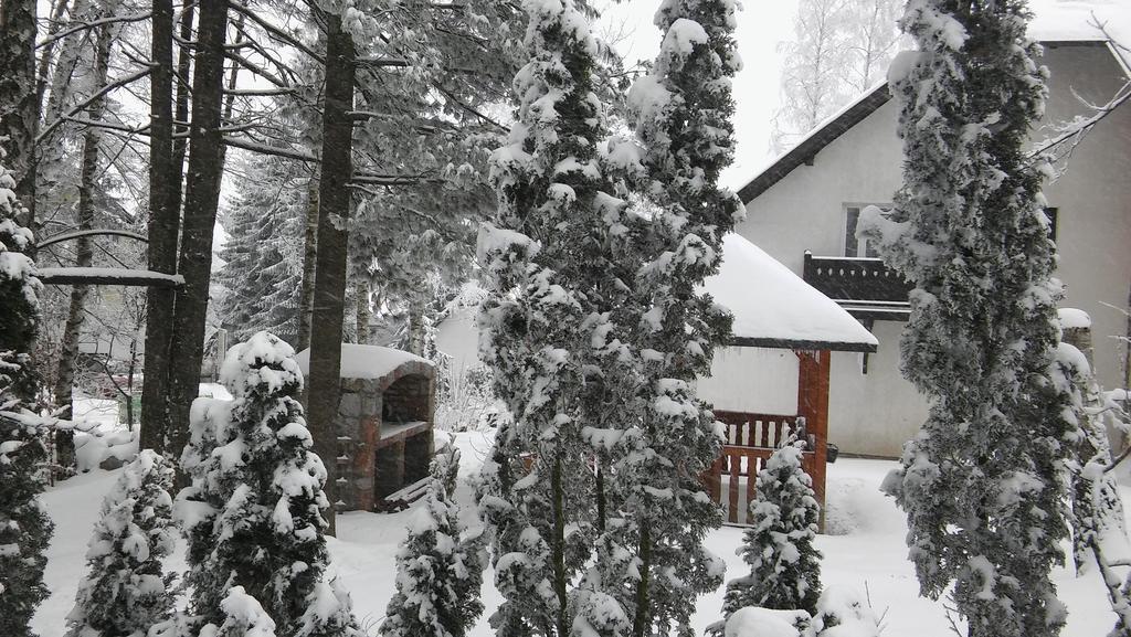 Apartmani Eho Zlatibor Kültér fotó